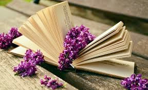lavender_book