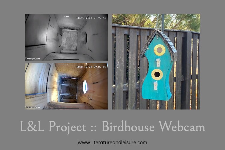 Birdhouse Webcam
